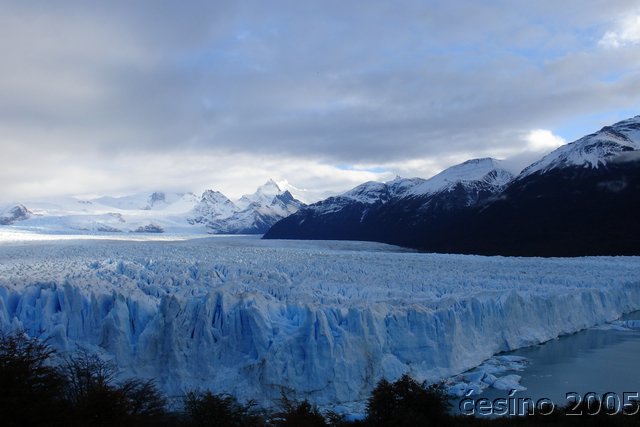 calafate_172.JPG