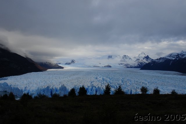 calafate_175.JPG