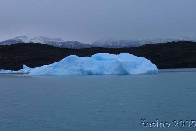 calafate_188.JPG