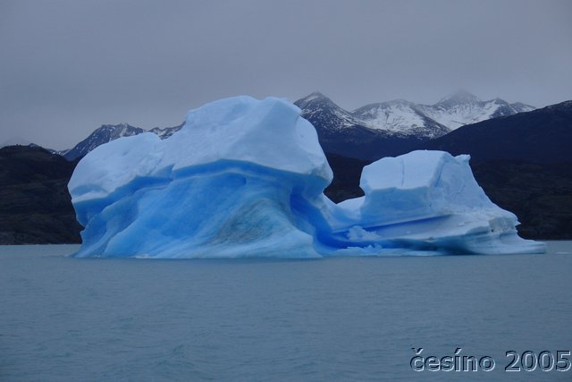 calafate_189.JPG