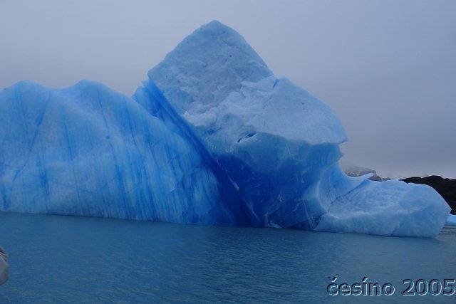 calafate_191.JPG