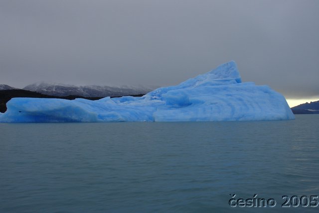 calafate_194.JPG