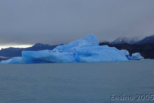 calafate_196.JPG