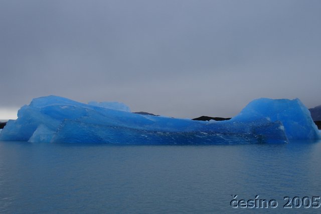 calafate_197.JPG