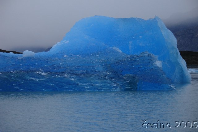 calafate_198.JPG