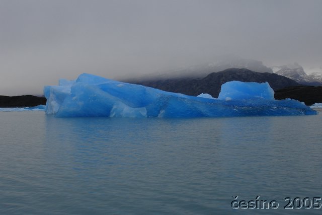 calafate_200.JPG