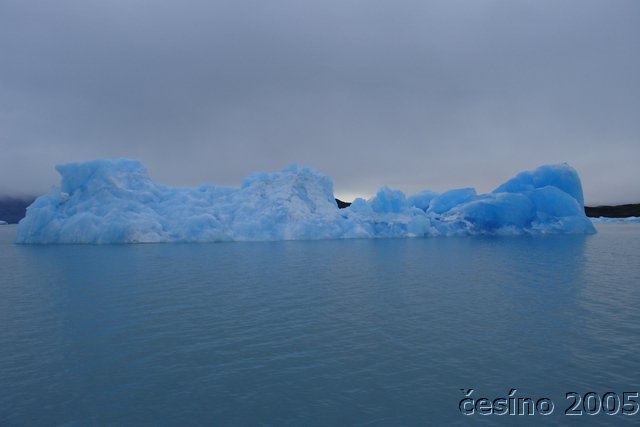 calafate_201.JPG