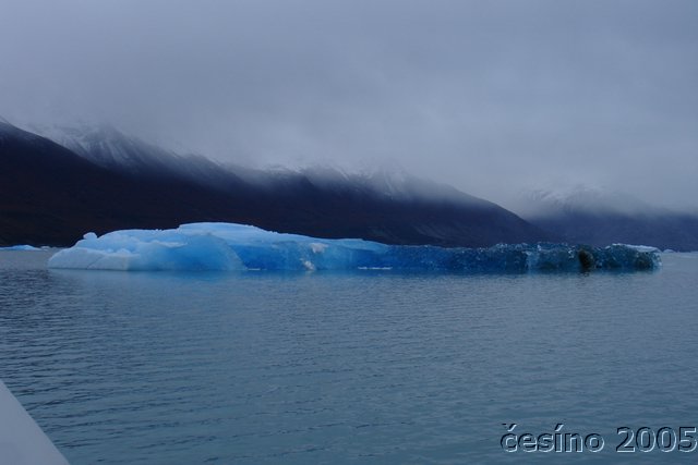 calafate_202.JPG