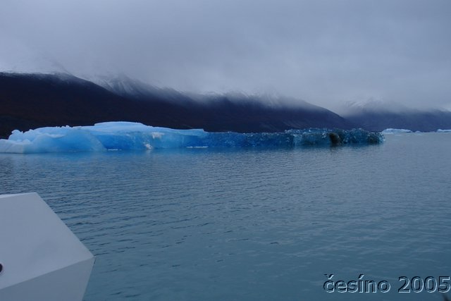 calafate_203.JPG