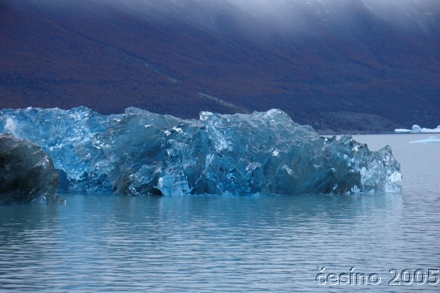 calafate_205.JPG