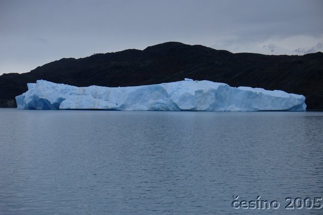 calafate_207.JPG