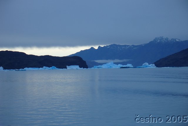 calafate_208.JPG