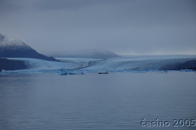 calafate_209.JPG