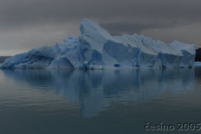 calafate_219.JPG