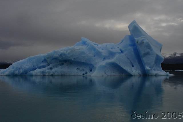 calafate_221.JPG