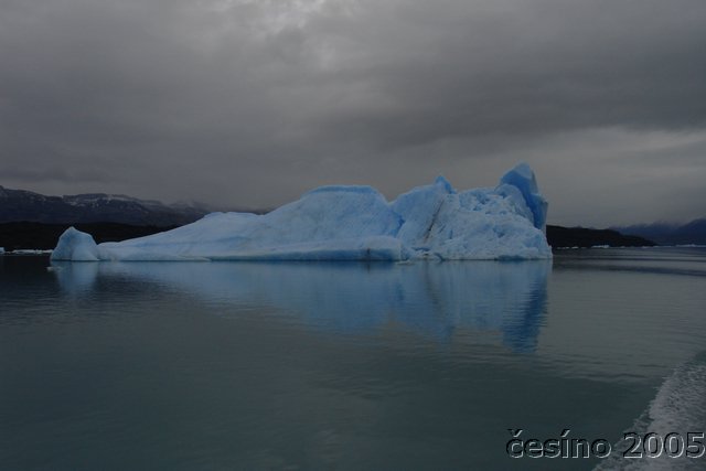 calafate_222.JPG