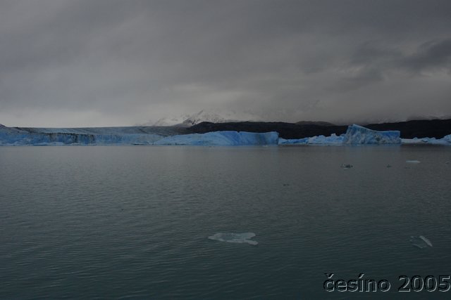 calafate_224.JPG