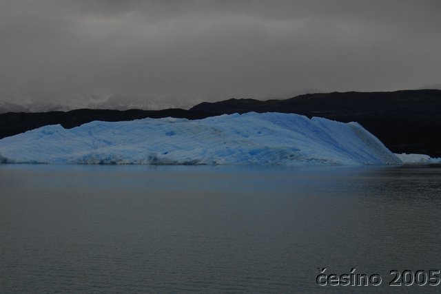 calafate_225.JPG