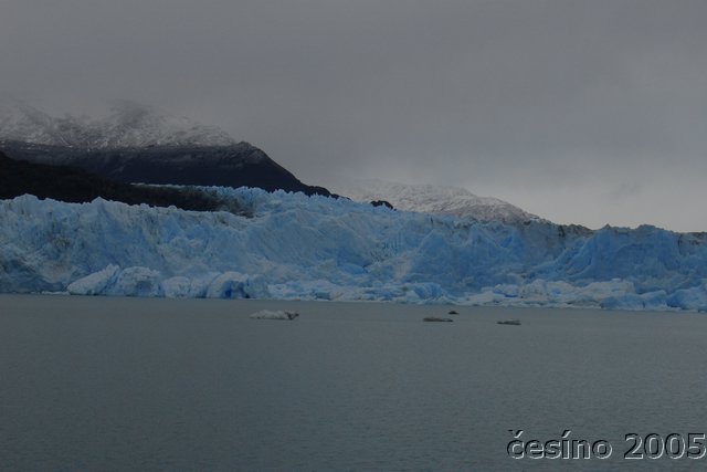 calafate_226.JPG