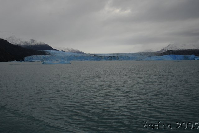 calafate_234.JPG