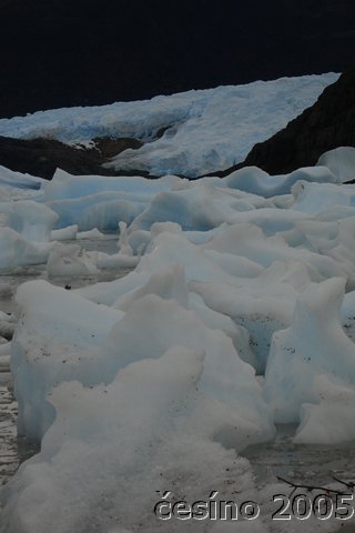 calafate_241.JPG