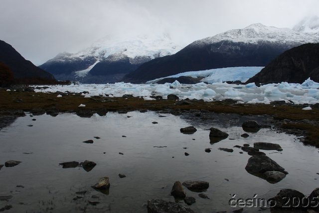 calafate_252.JPG