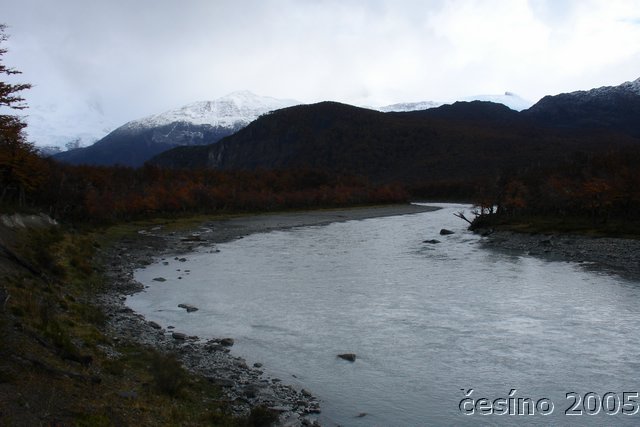 calafate_271.JPG