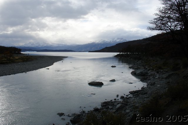 calafate_272.JPG