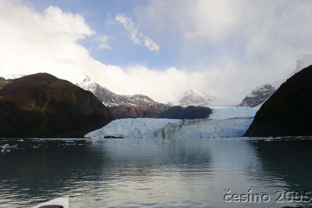 calafate_281.JPG