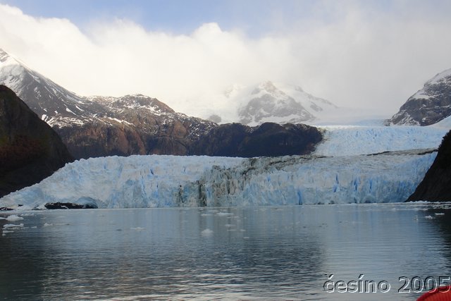 calafate_282.JPG