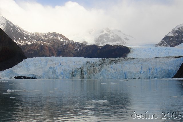 calafate_283.JPG