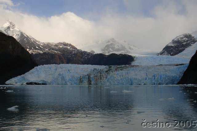 calafate_284.JPG