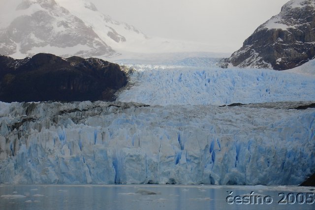 calafate_285.JPG