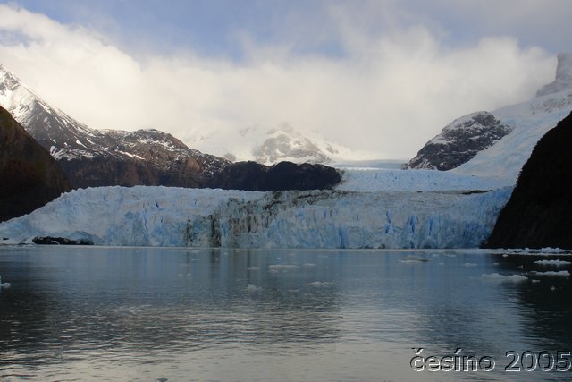 calafate_286.JPG