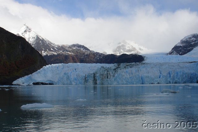 calafate_287.JPG