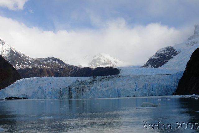 calafate_288.JPG