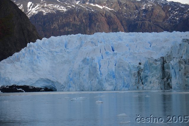 calafate_289.JPG