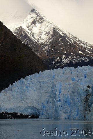 calafate_294.JPG