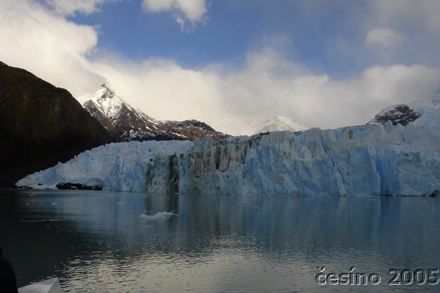 calafate_295.JPG