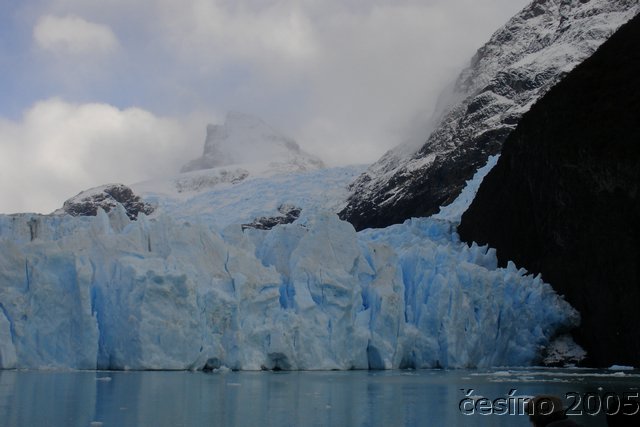 calafate_296.JPG