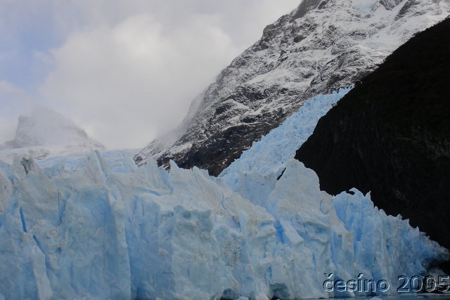 calafate_297.JPG