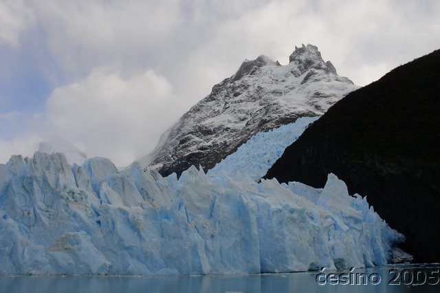 calafate_298.JPG