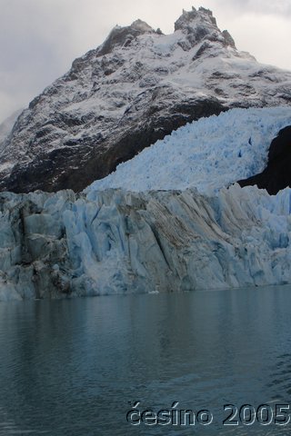 calafate_303.JPG