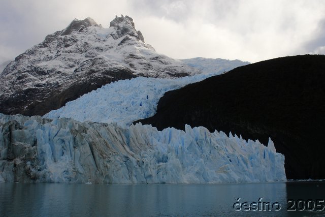 calafate_304.JPG