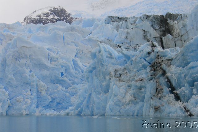 calafate_305.JPG