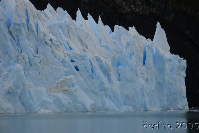 calafate_307.JPG