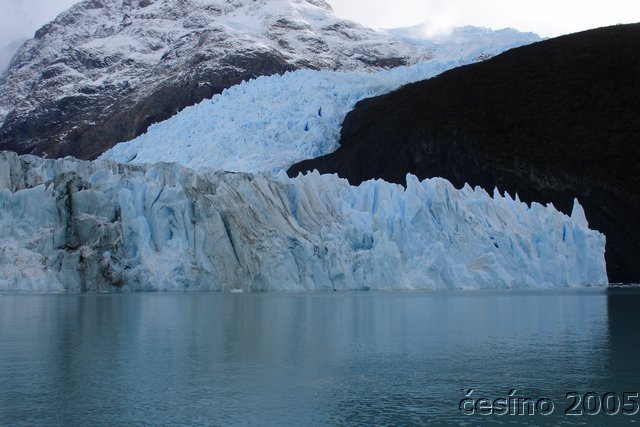 calafate_309.JPG