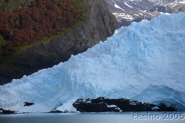 calafate_311.JPG