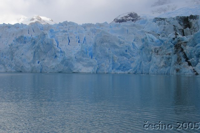 calafate_312.JPG