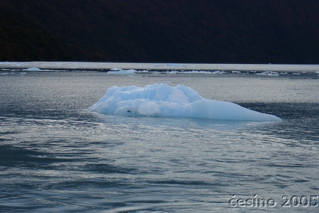 calafate_314.JPG